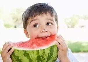 终生皆苦娱乐吃瓜酱,揭秘苦中作乐的生活哲学